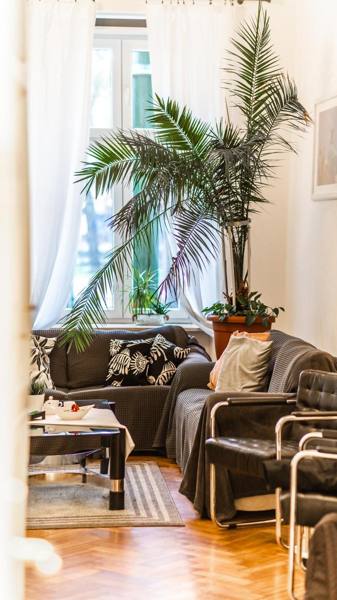 Fogra Travel Apartment Cracovie Extérieur photo